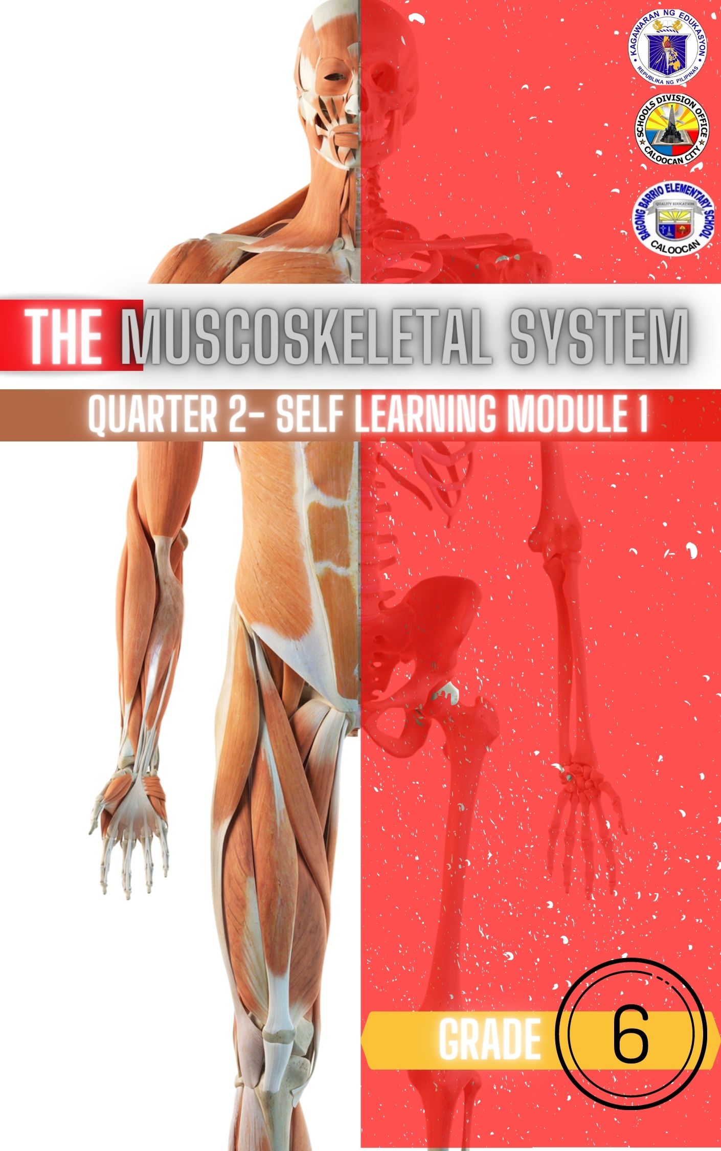 136627-Bagong Barrio Elementary School-Science 6-Quarter 2-Module 1- Musculoskeletal System