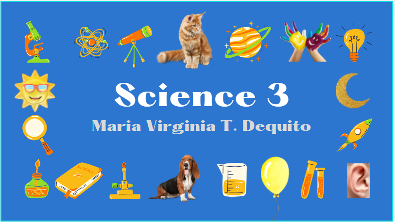 CAA Elementary School Grade Three Science